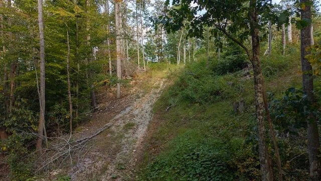 0 Twin Falls RD