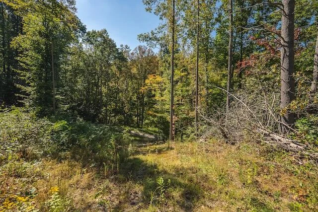 0 Twin Falls RD - Photo 10