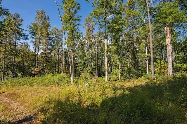 0 Twin Falls RD - Photo 11