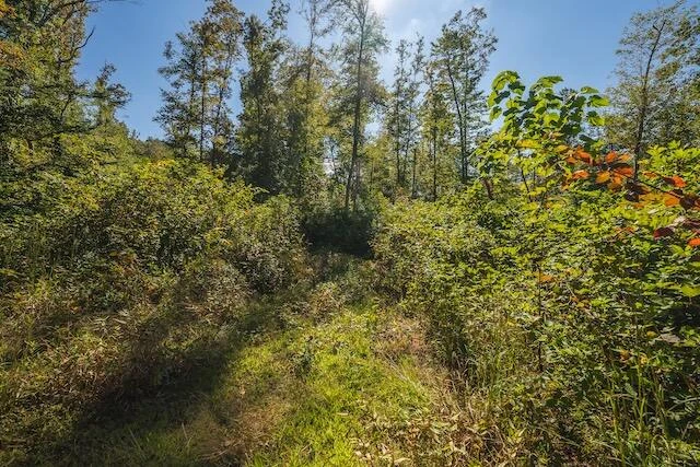0 Twin Falls RD - Photo 12