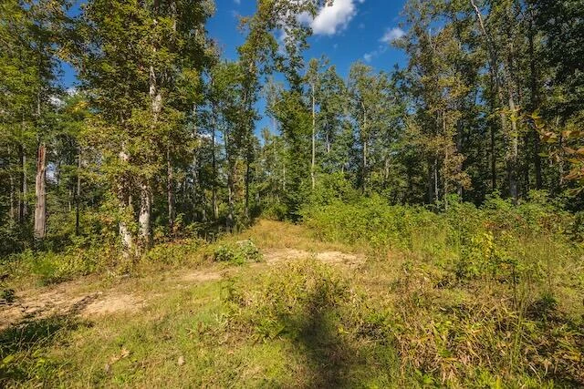 0 Twin Falls RD - Photo 13