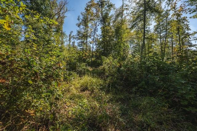 0 Twin Falls RD - Photo 14