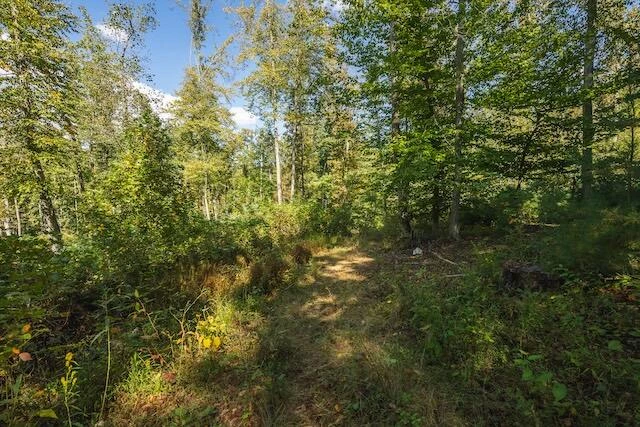 0 Twin Falls RD - Photo 15