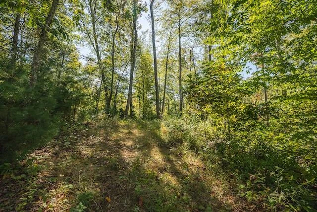0 Twin Falls RD - Photo 16