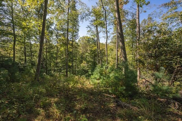0 Twin Falls RD - Photo 17