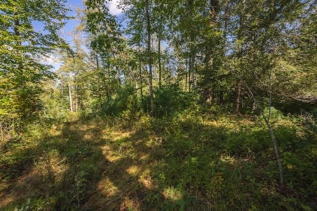 0 Twin Falls RD - Photo 18