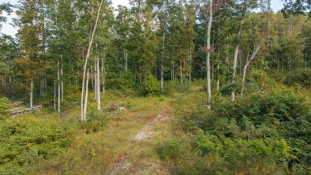 0 Twin Falls RD - Photo 2