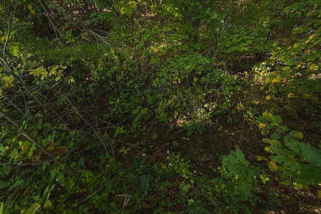 0 Twin Falls RD - Photo 23