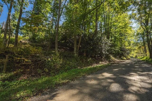 0 Twin Falls RD - Photo 7
