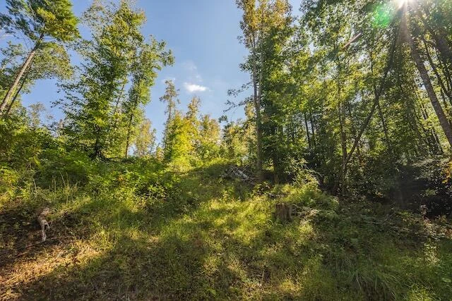 0 Twin Falls RD - Photo 8