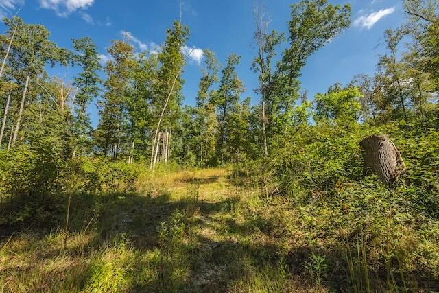 0 Twin Falls RD - Photo 9