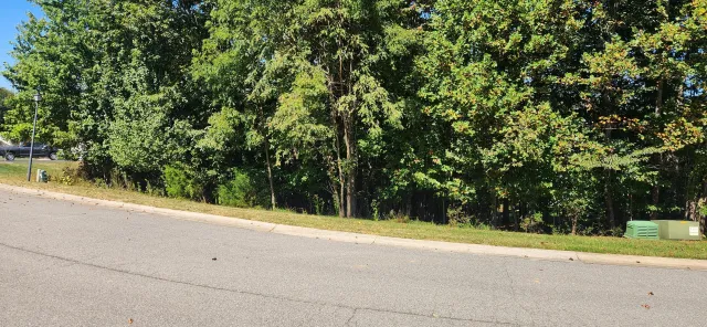 Lot 20 Stoney Mill RD, Rocky Mount, VA, 24151