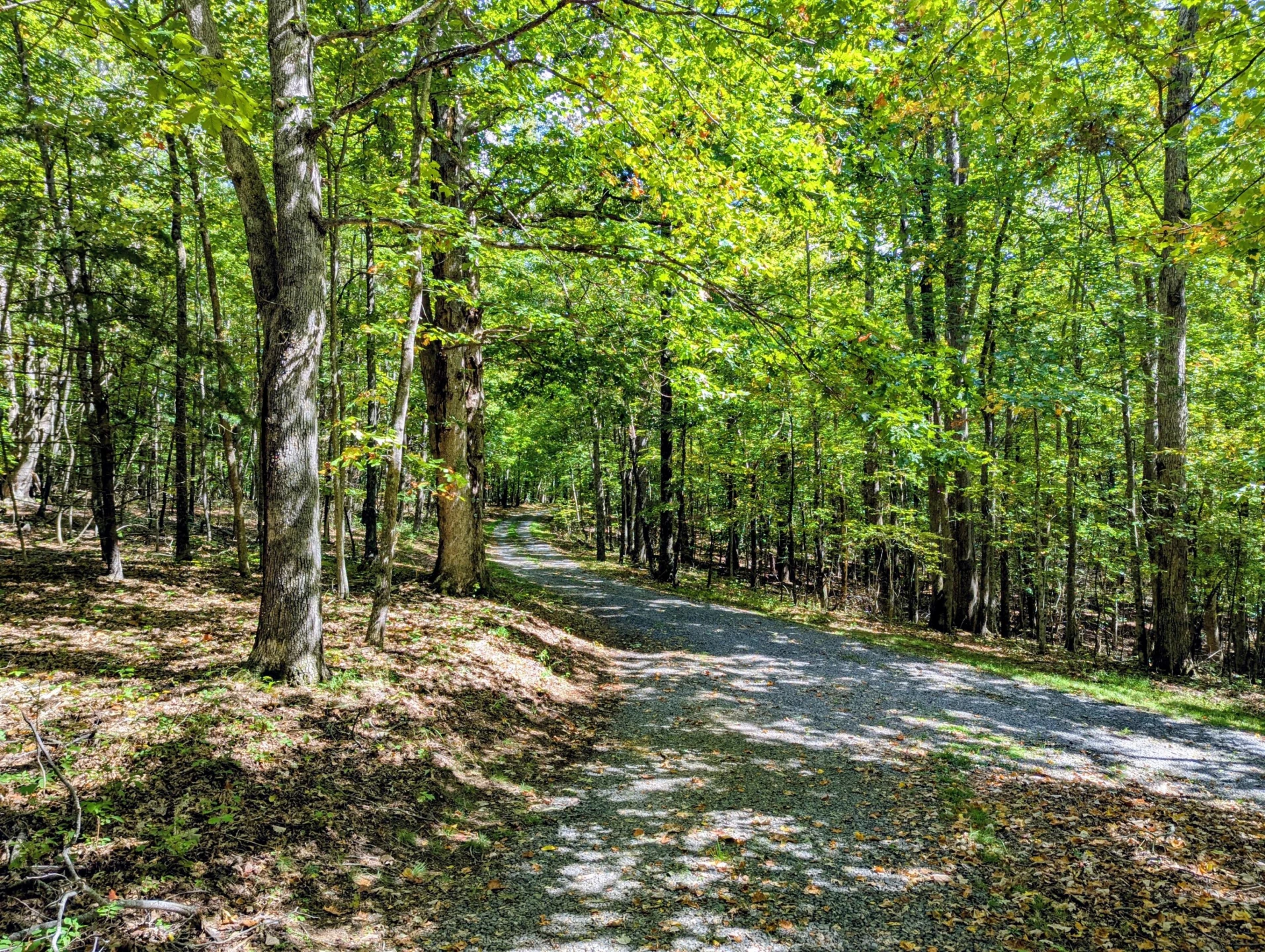 1705 Barberry RD - Photo 42