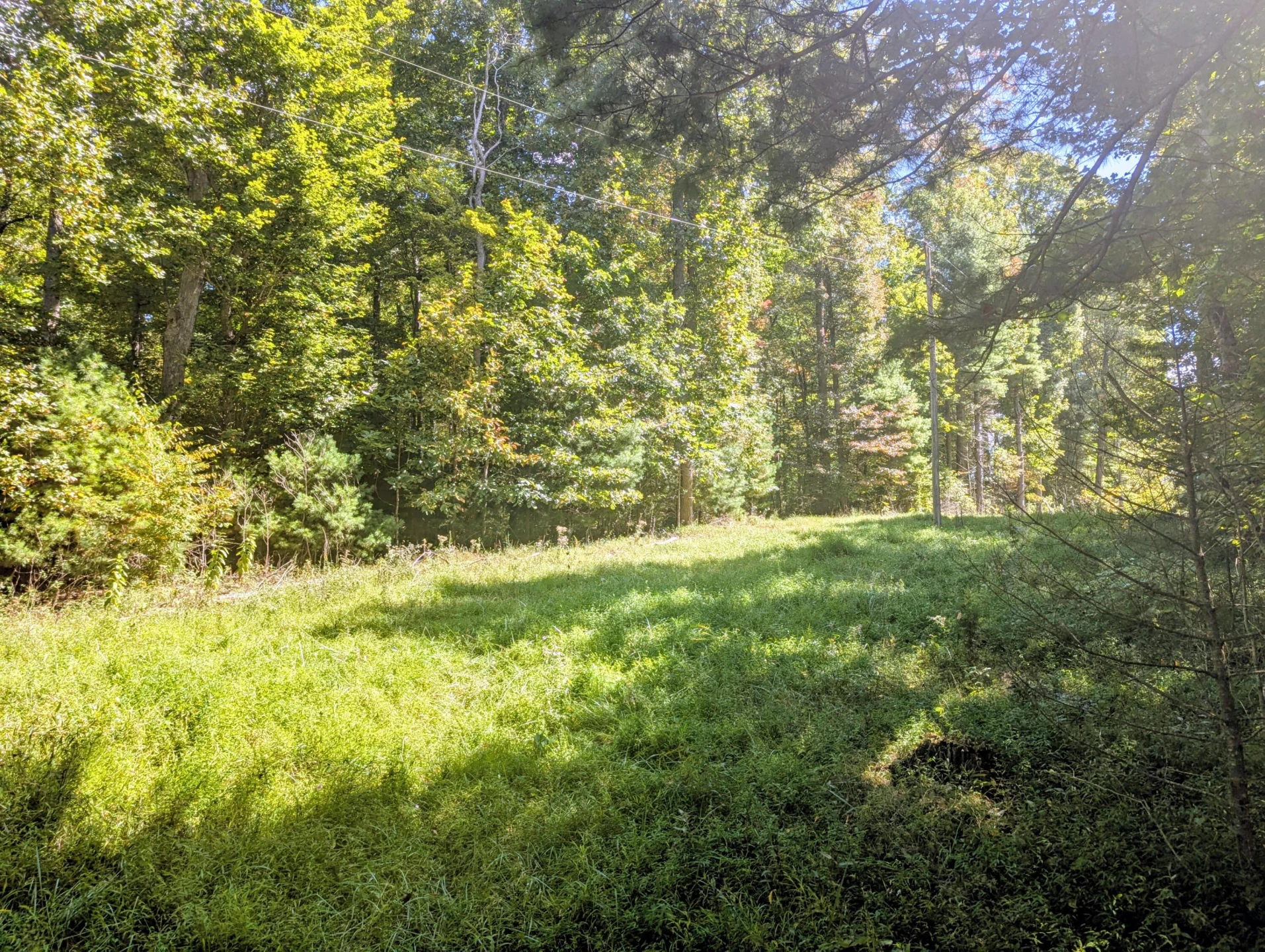 1705 Barberry RD - Photo 44