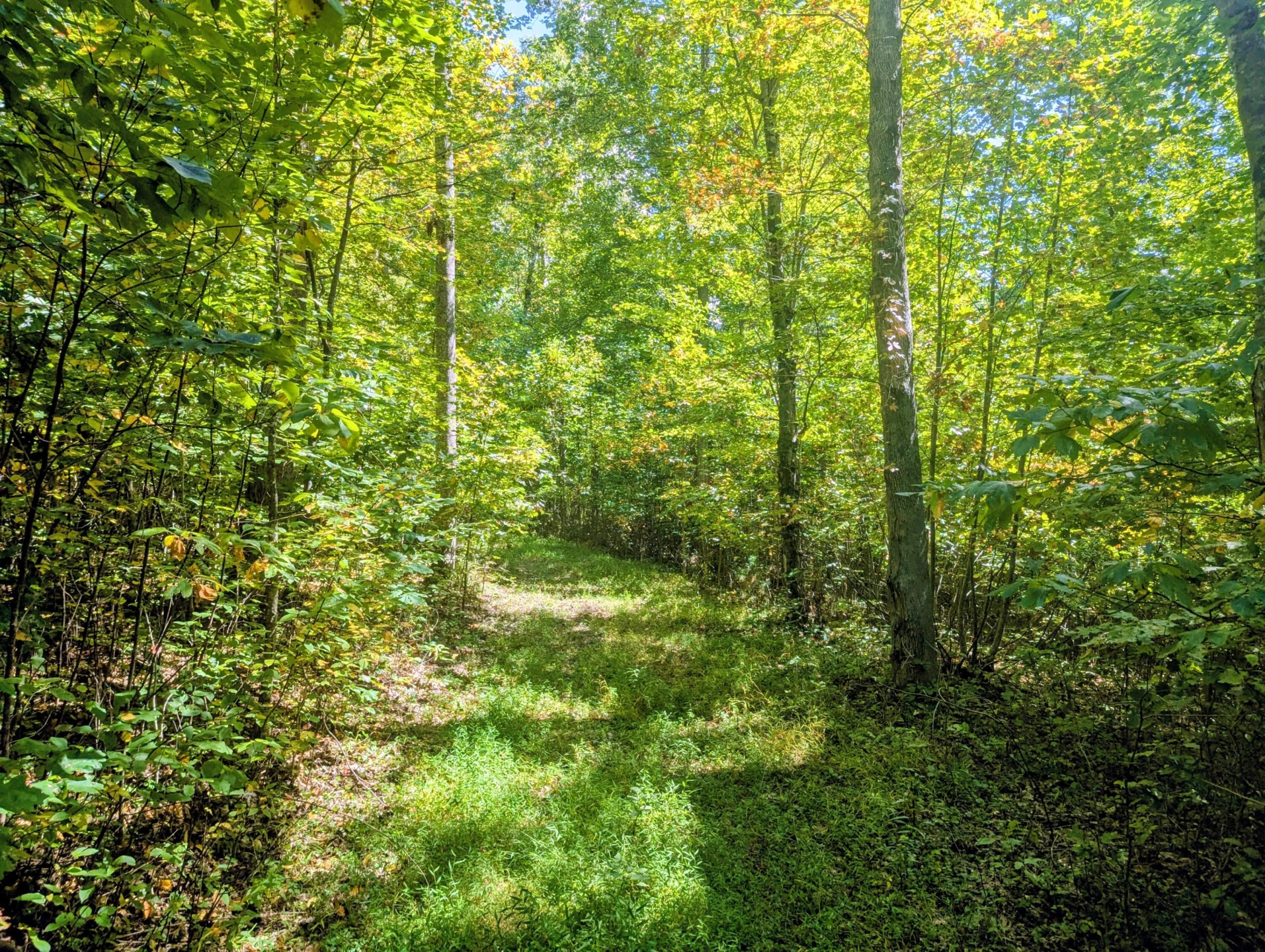 1705 Barberry RD - Photo 46