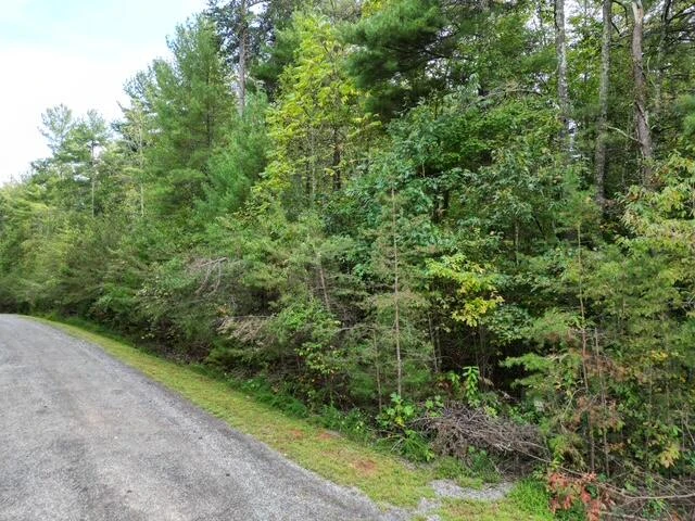 000 SAGE LN - Photo 3