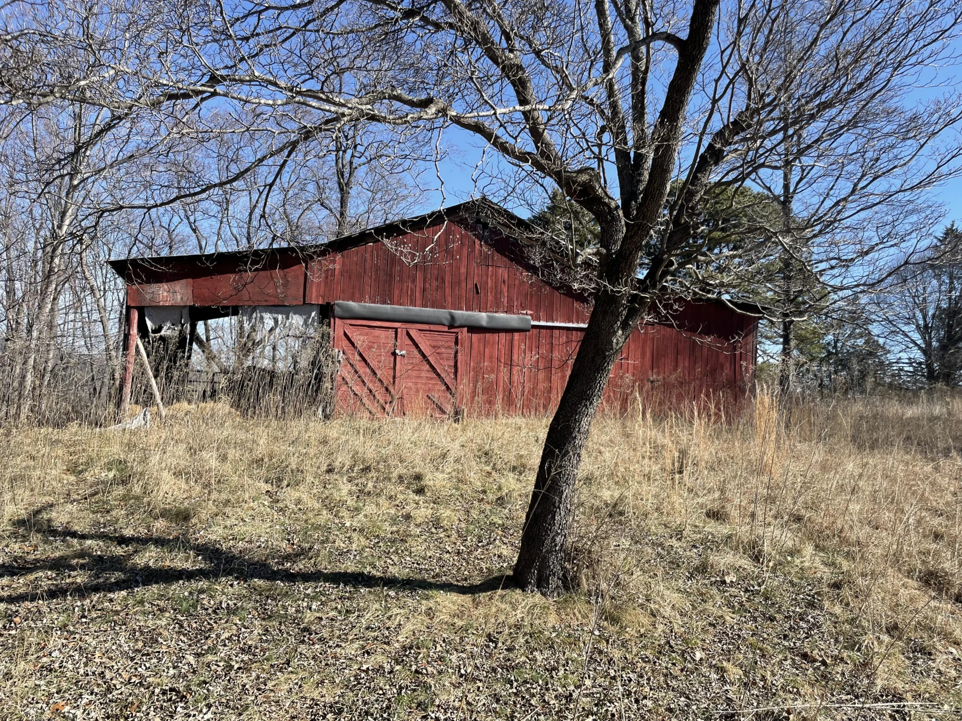 1000 BLK Polar LN - Photo 2