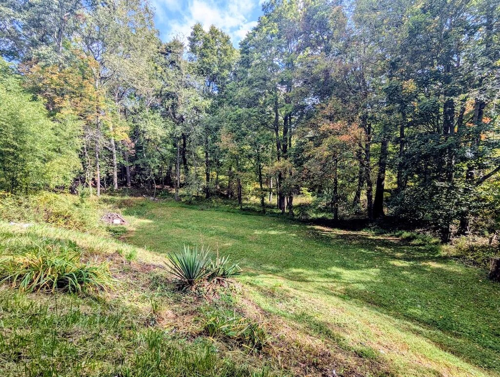 3335 Daniels Run RD - Photo 5