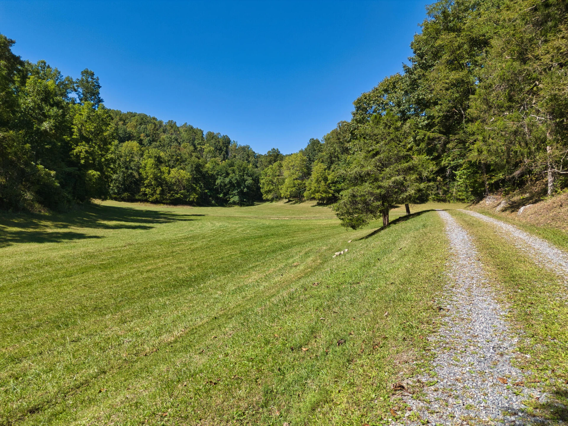 2554 Georges Run RD - Photo 16
