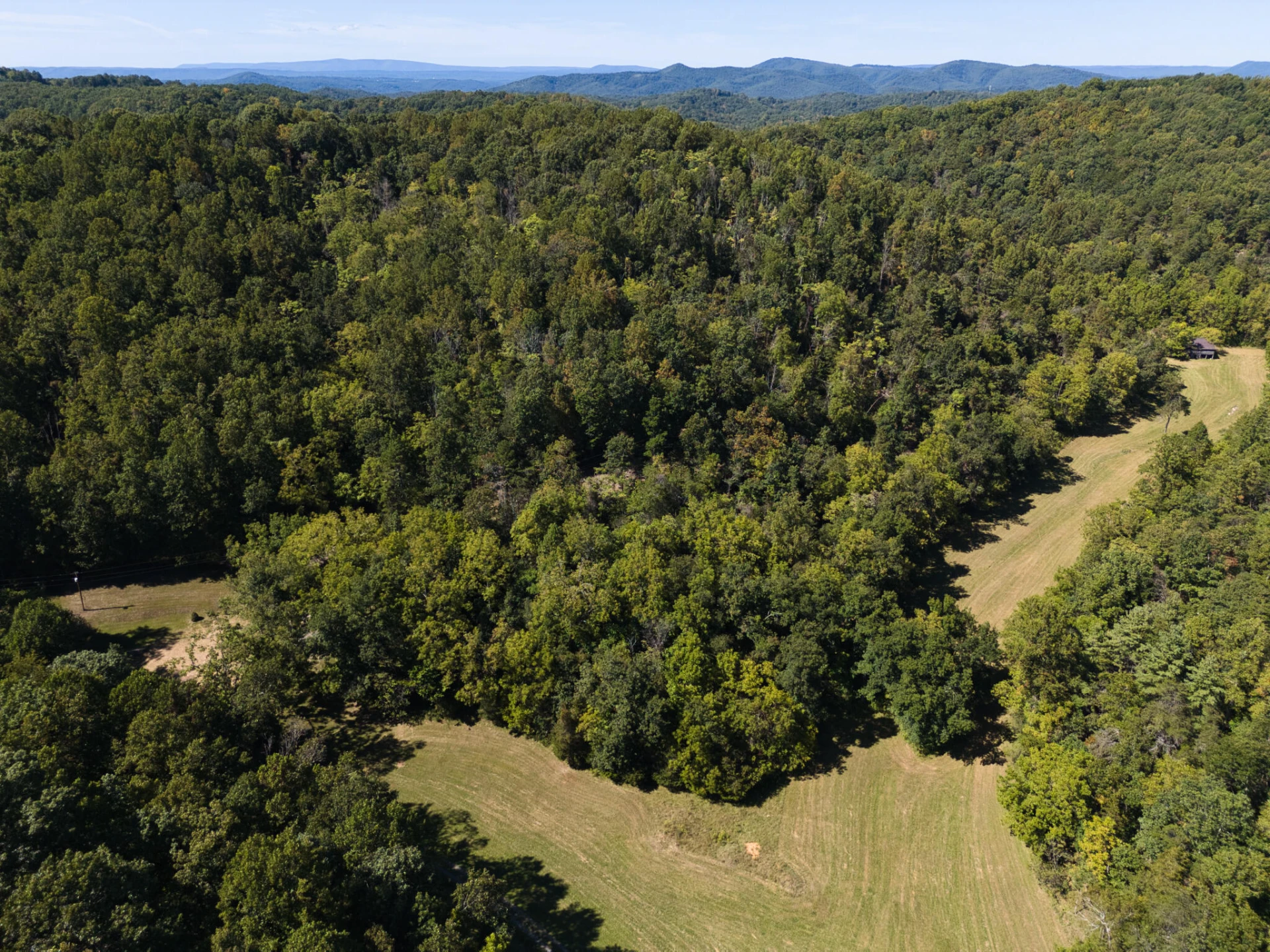 2554 Georges Run RD - Photo 5
