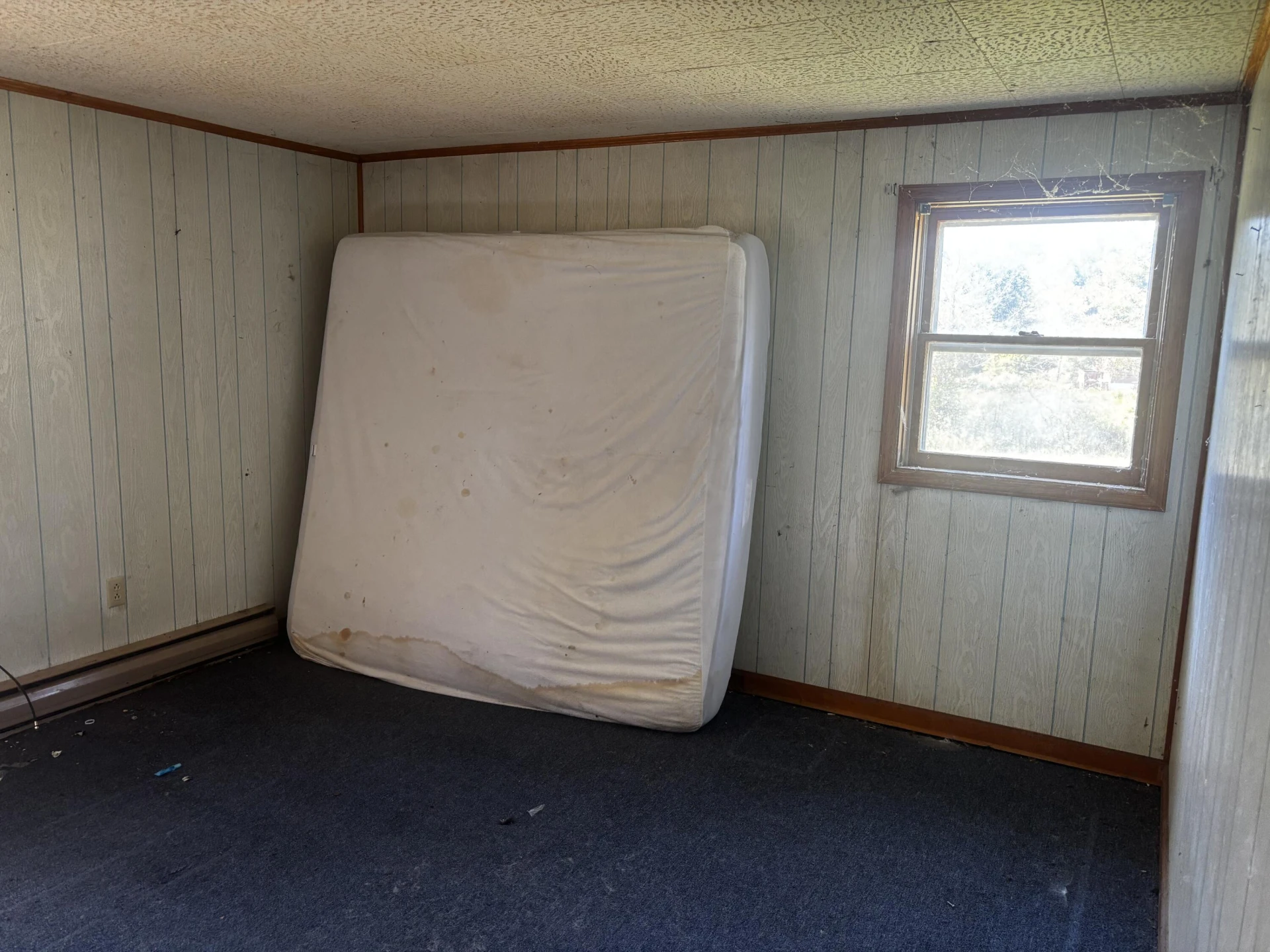 375 Barberry RD - Photo 35