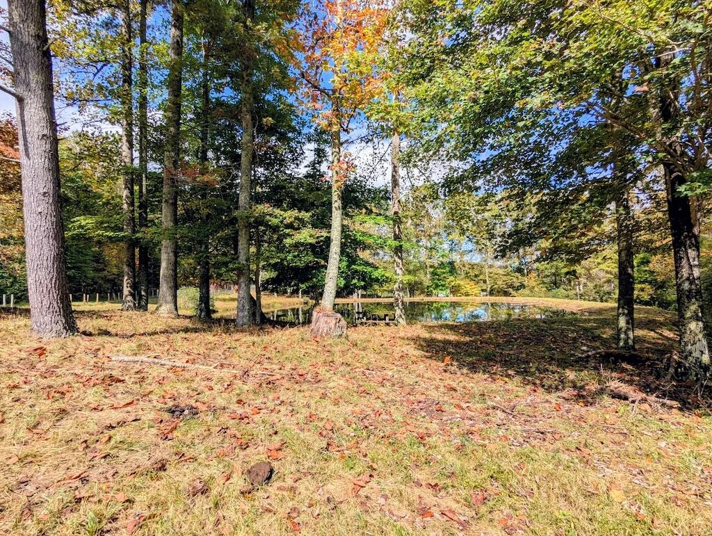 173 Hubbard RD - Photo 12