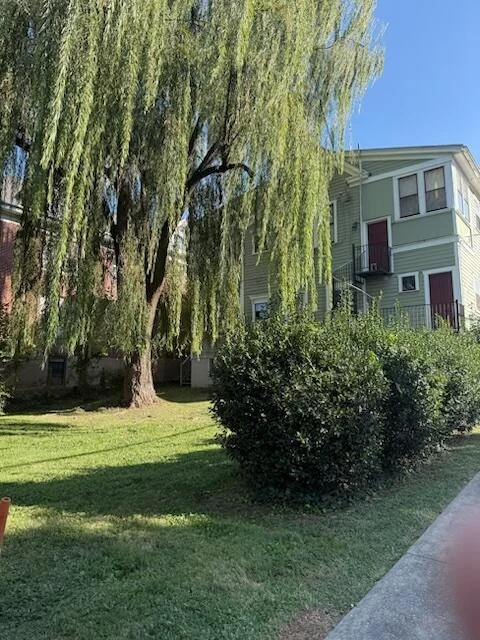 379 Walnut AVE - Photo 60