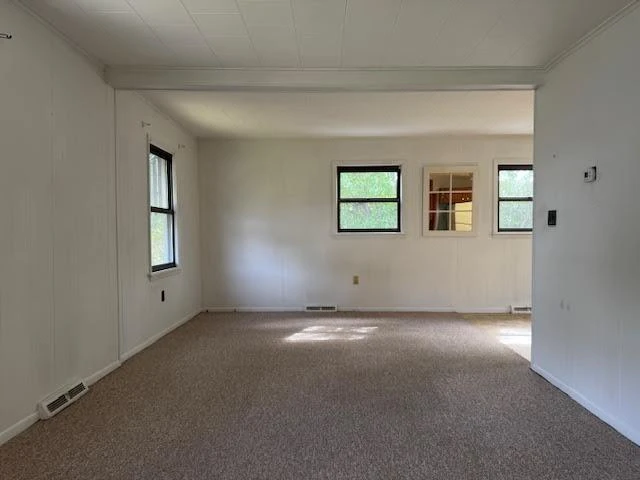 4916 Hildebrand RD - Photo 3