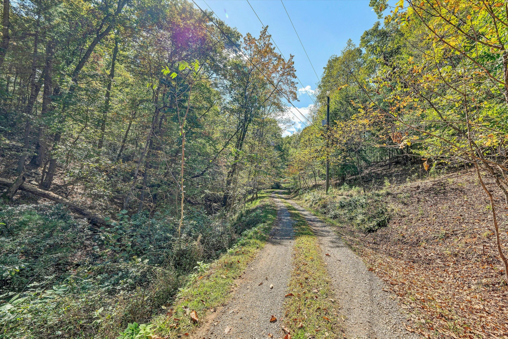 3561 Rutrough RD - Photo 54