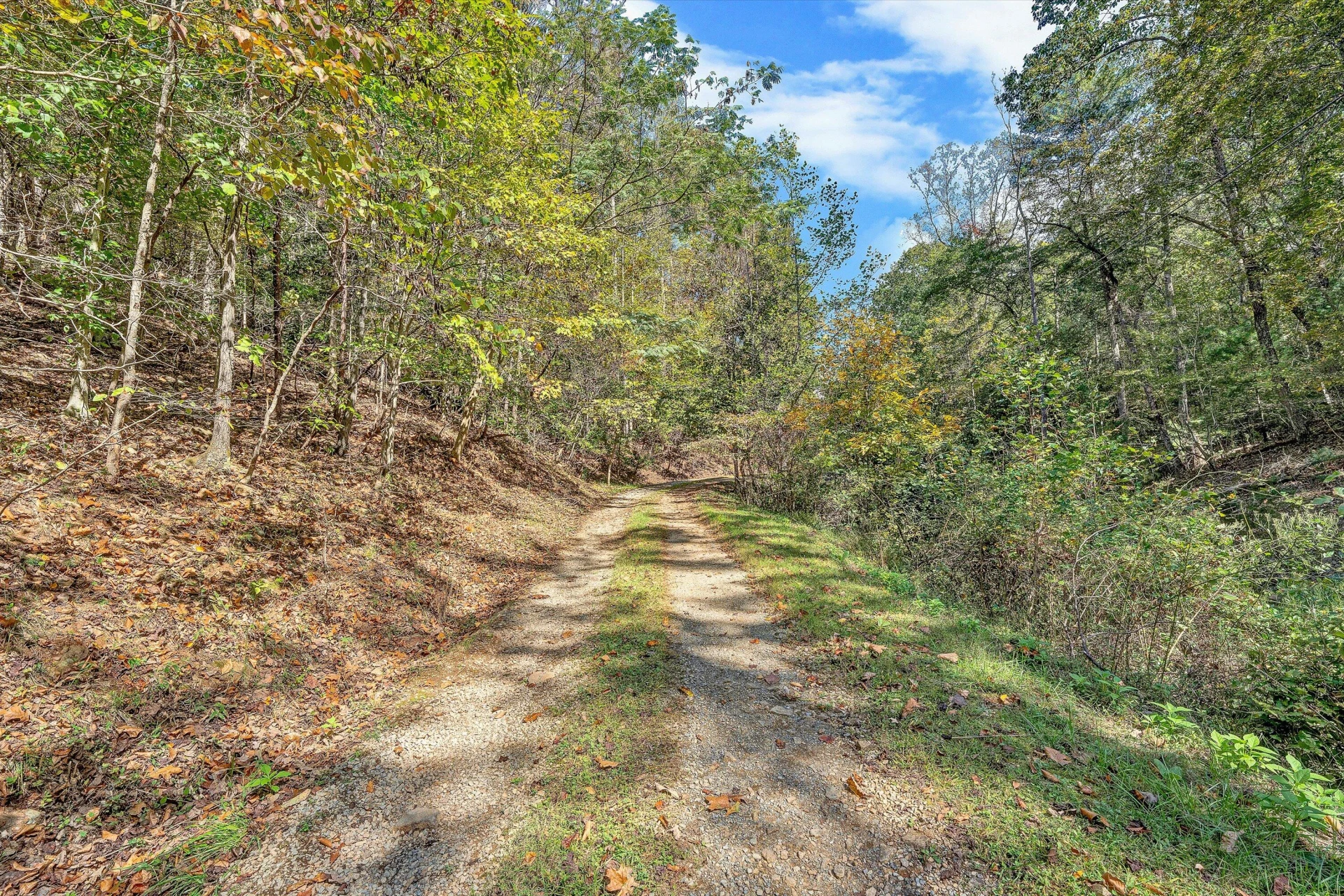 3561 Rutrough RD - Photo 55