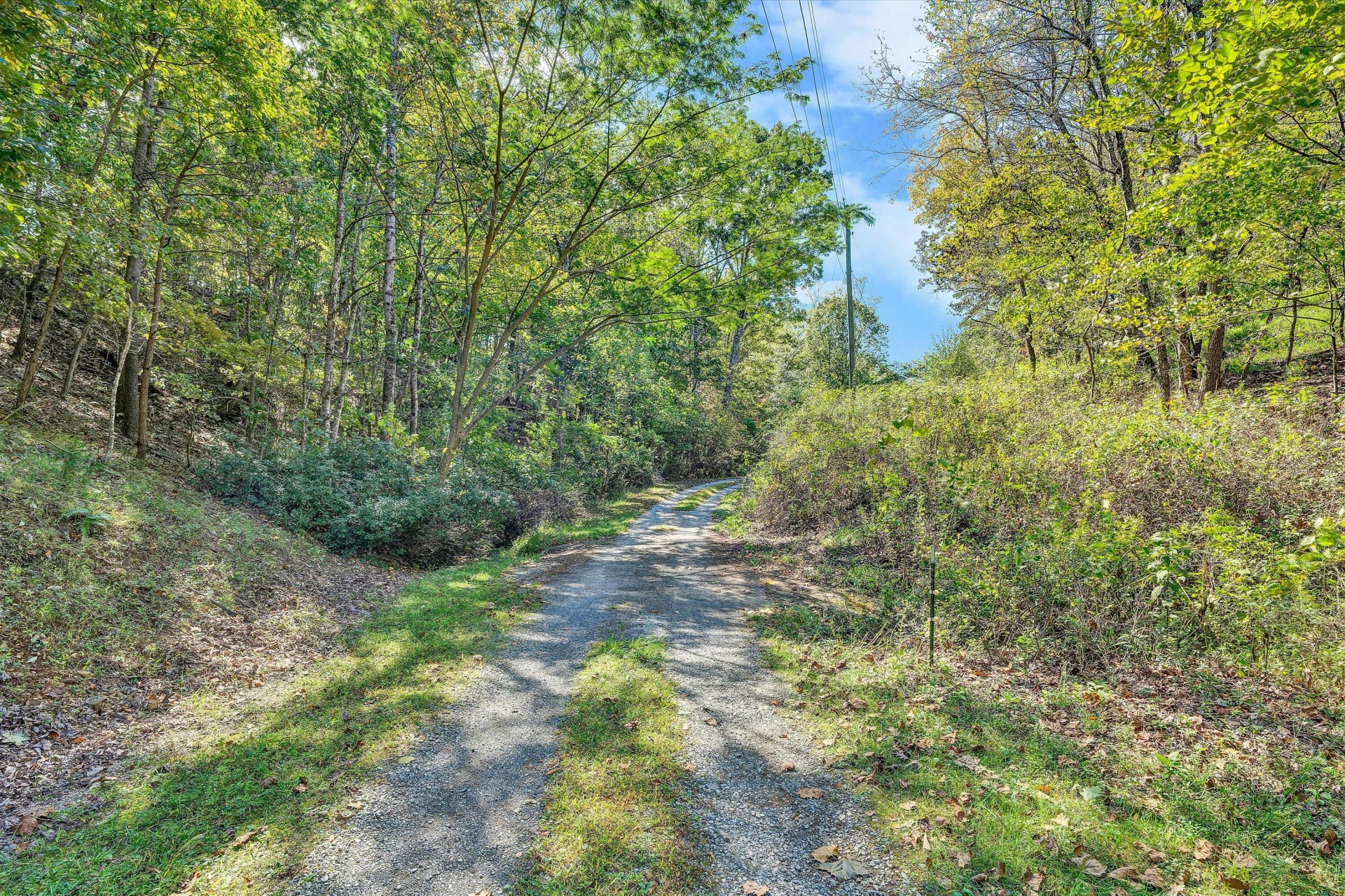 3561 Rutrough RD - Photo 56