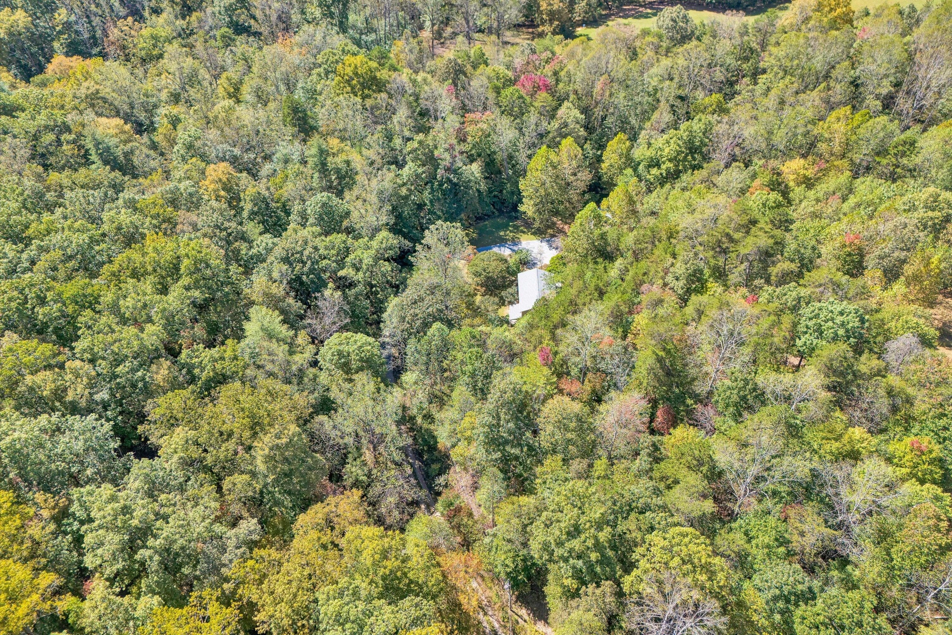 3561 Rutrough RD - Photo 60