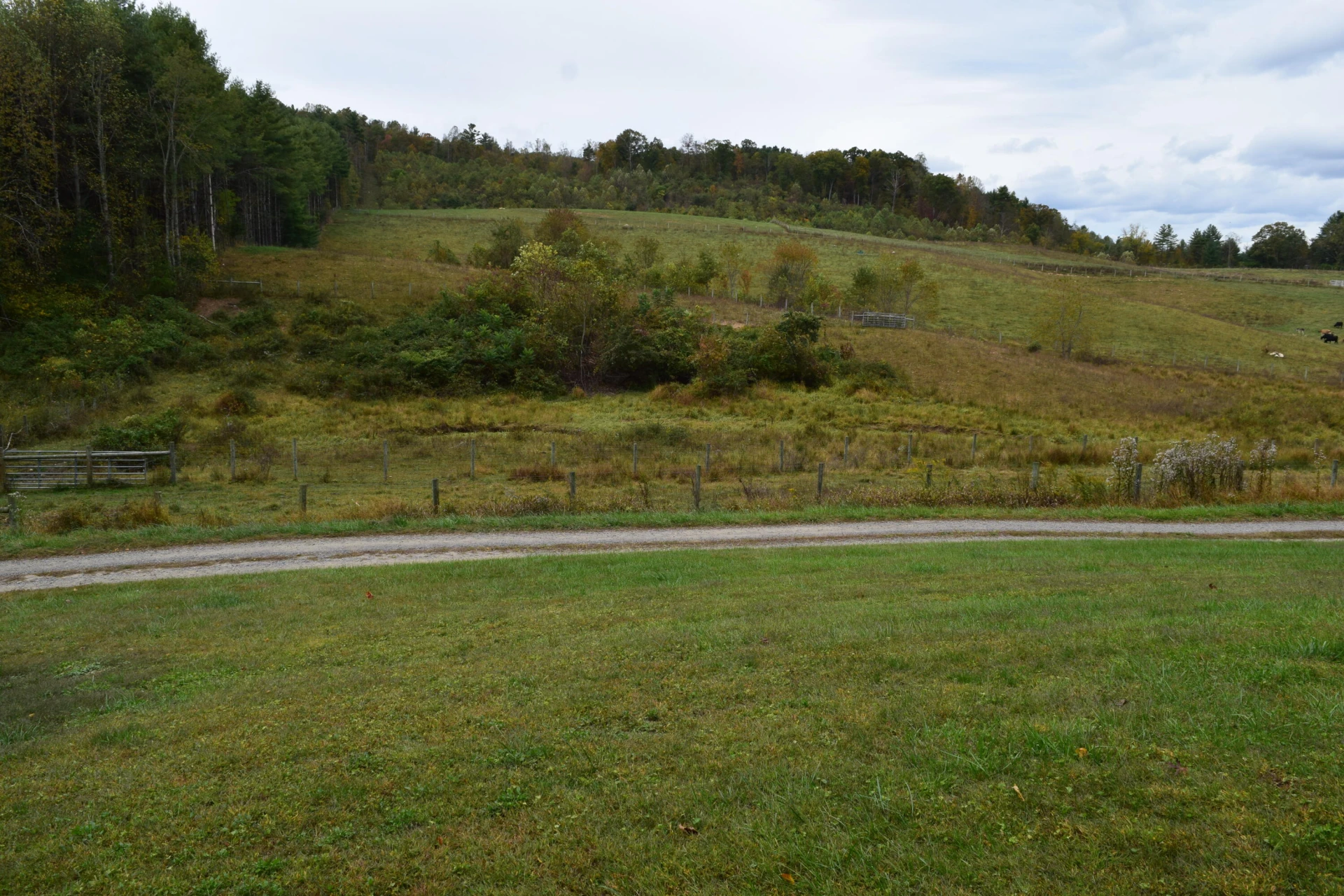 171 Pine Creek WAY - Photo 12