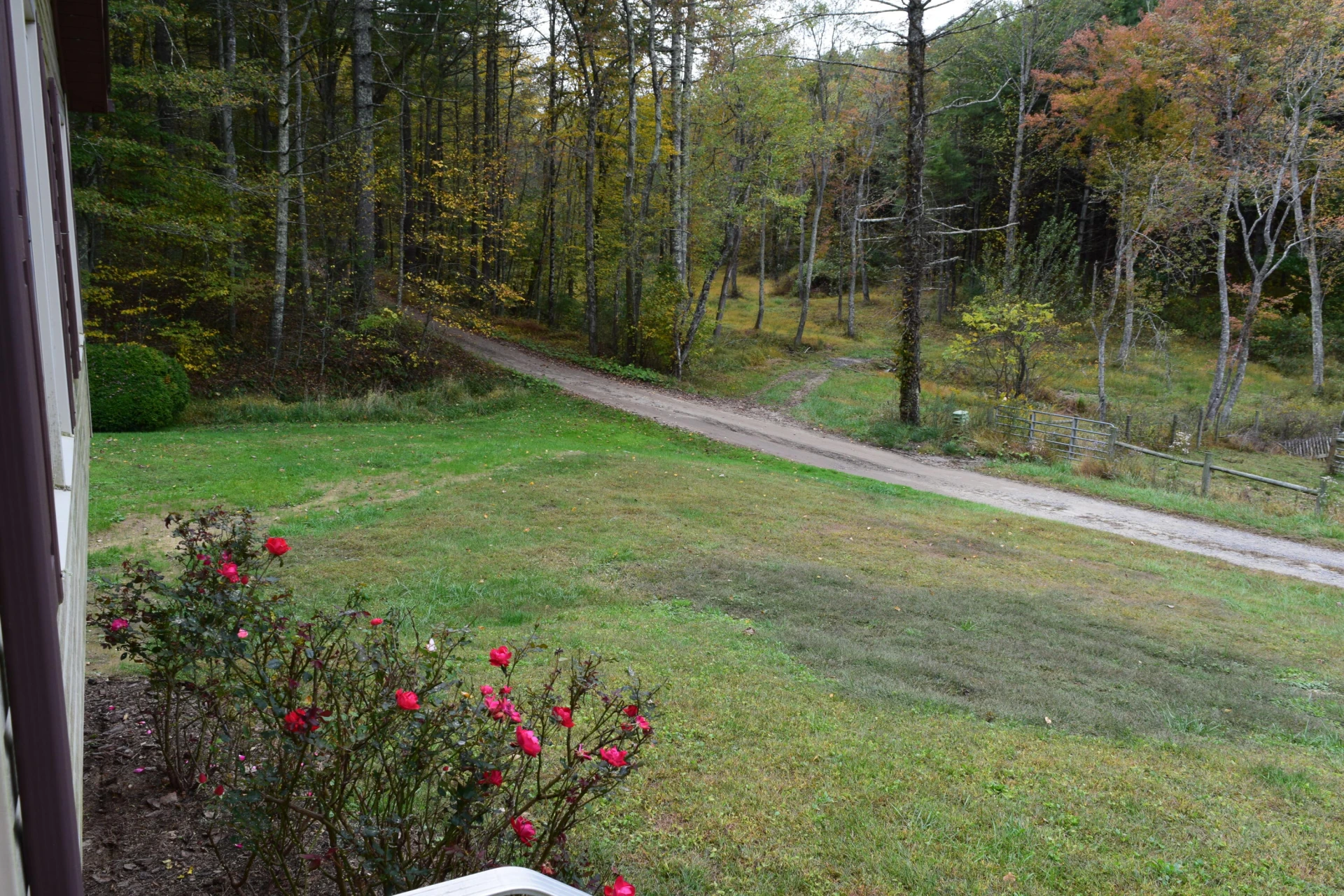 171 Pine Creek WAY - Photo 13