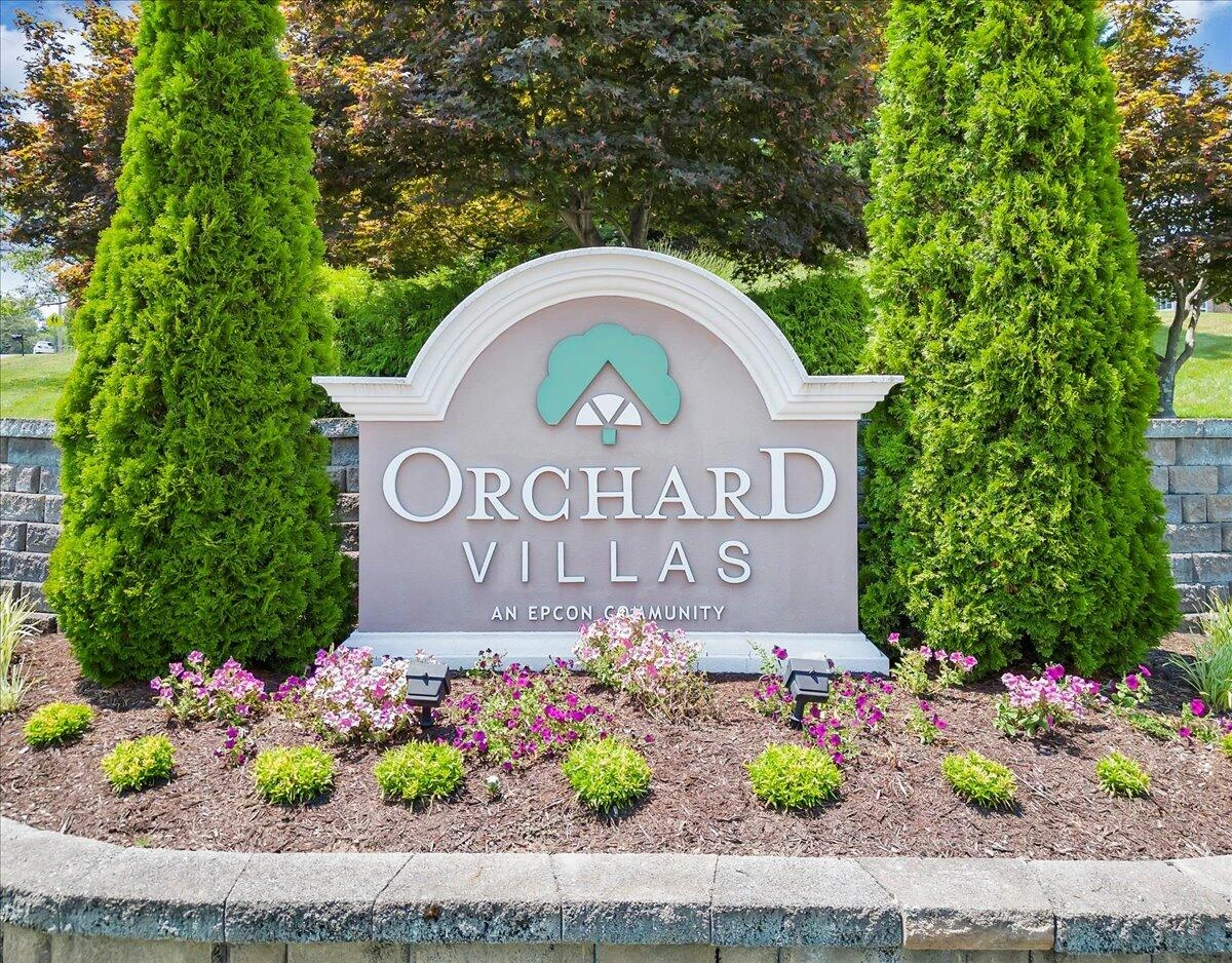 5516 Orchard Villa CIR - Photo 47