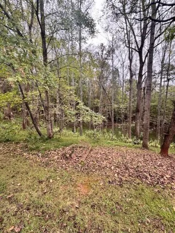 0 Old Mill DR, Hardy, VA, 24101