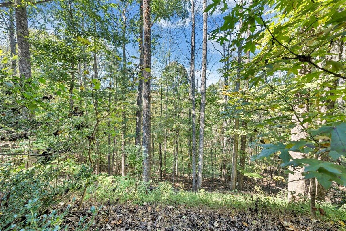 5539 Highfields RD - Photo 71
