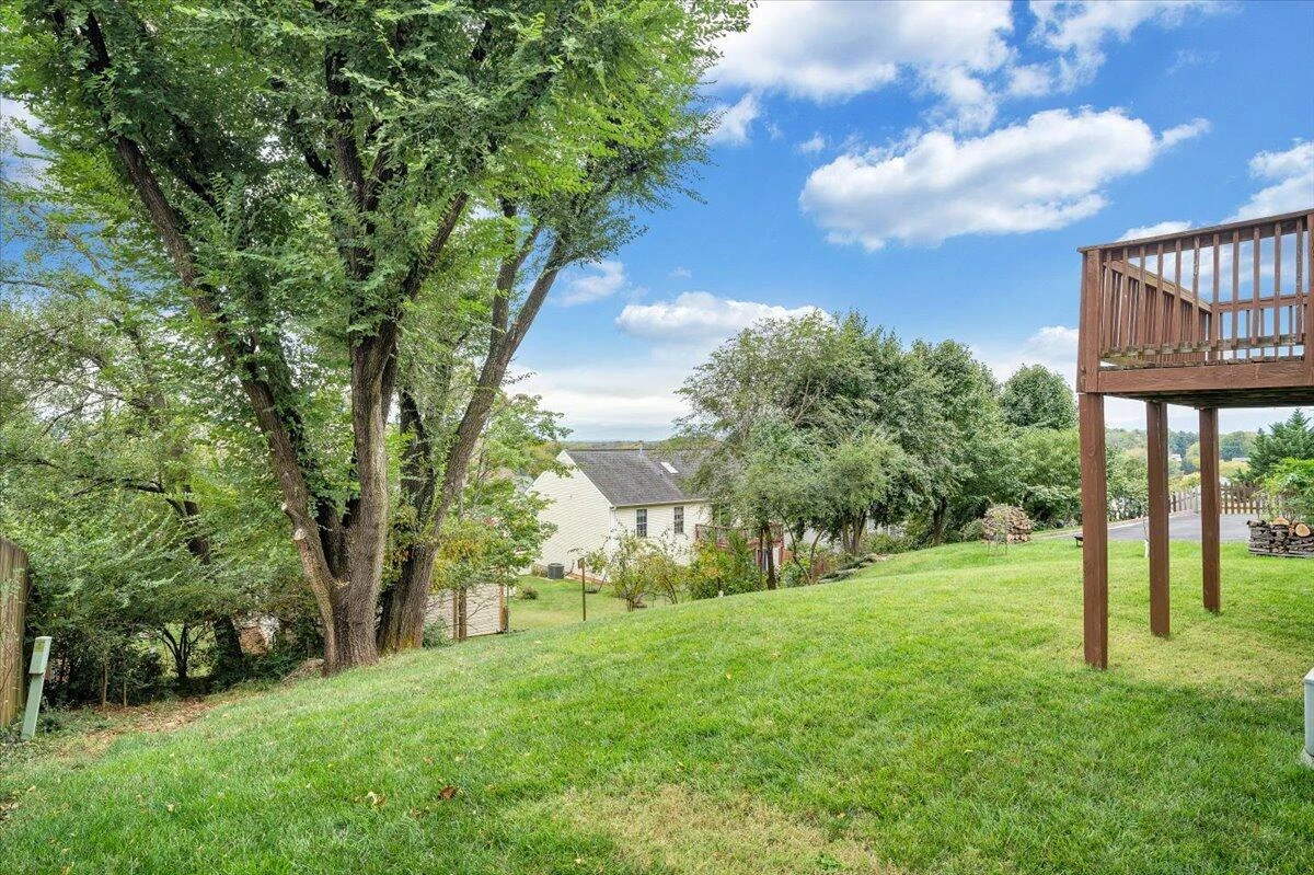 1569 Read Mountain RD - Photo 11