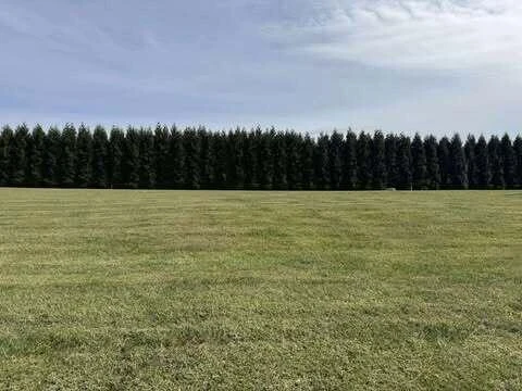 Lot 4 Nyle Ridge RD - Photo 10