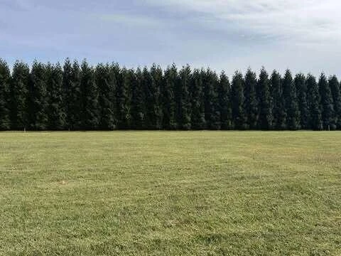 Lot 4 Nyle Ridge RD - Photo 3