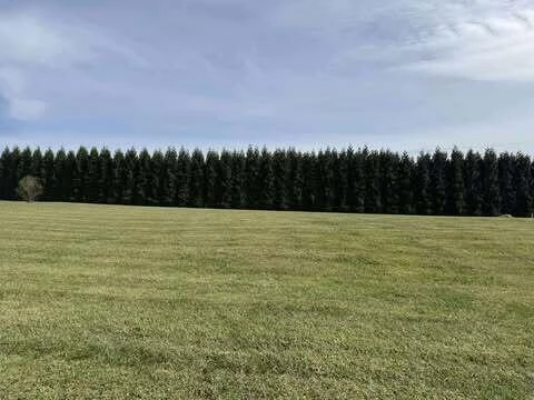Lot 5 Nyle Ridge RD - Photo 11