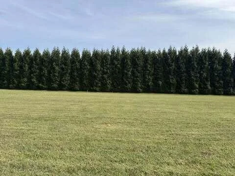Lot 5 Nyle Ridge RD - Photo 5