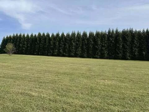 Lots 4 & 5 Nyle Ridge RD - Photo 7