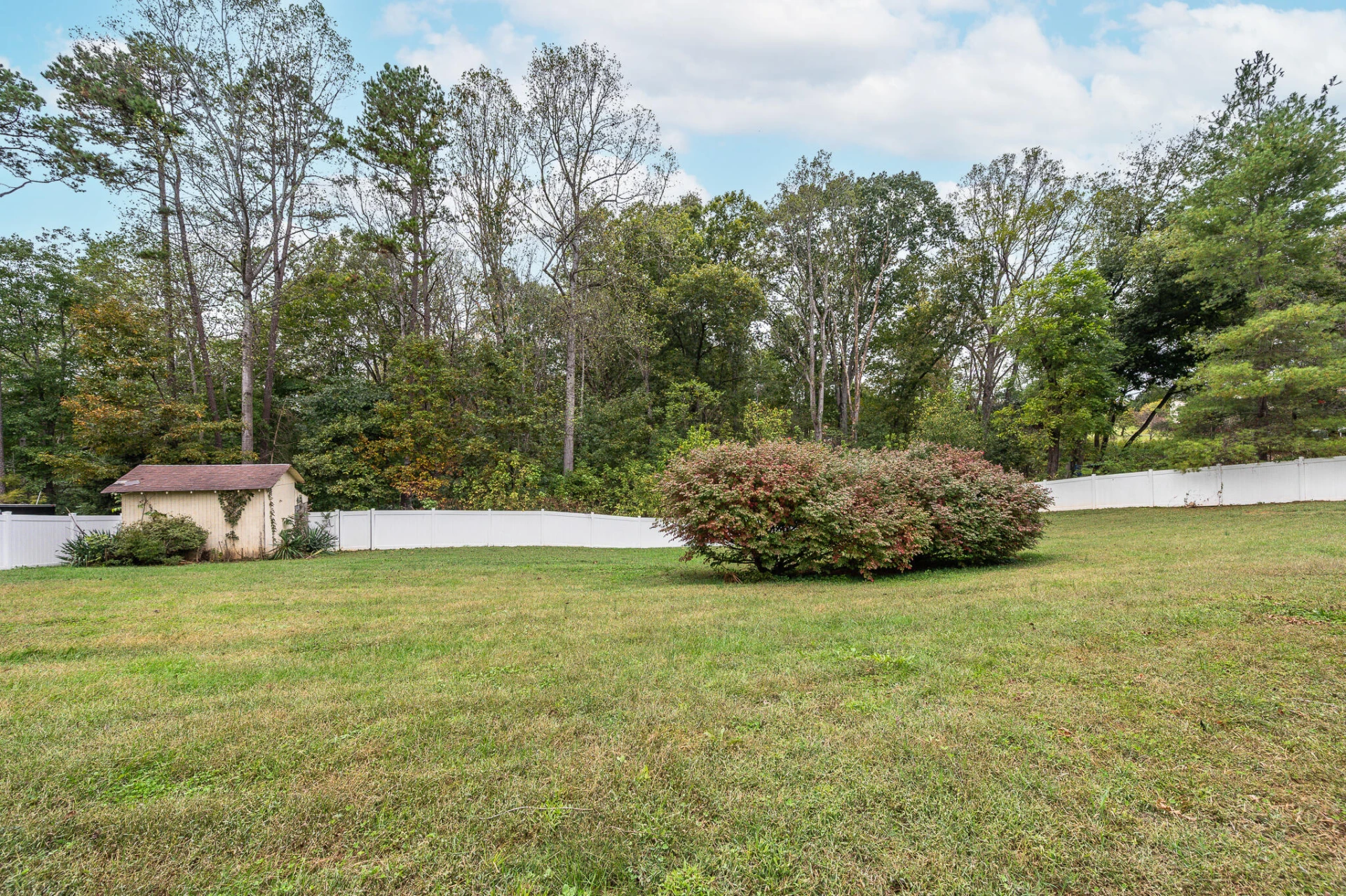 111 Otter Ridge DR - Photo 53