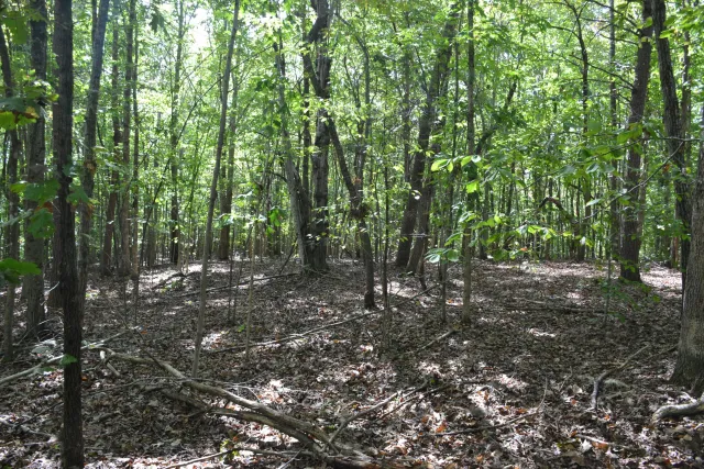 0 Sun Dance DR, Lynchburg, VA, 24504