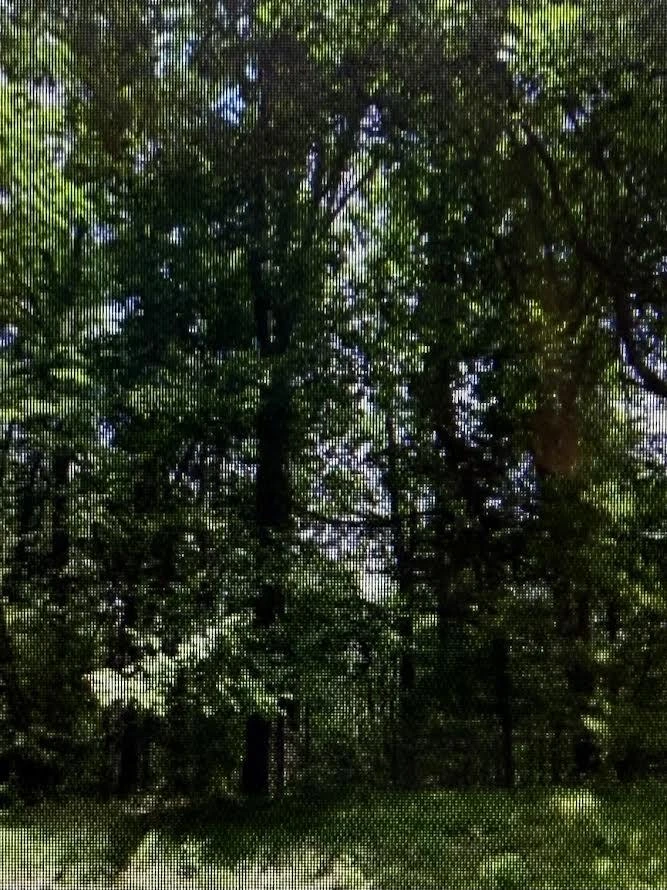 0 Raintree RD - Photo 4