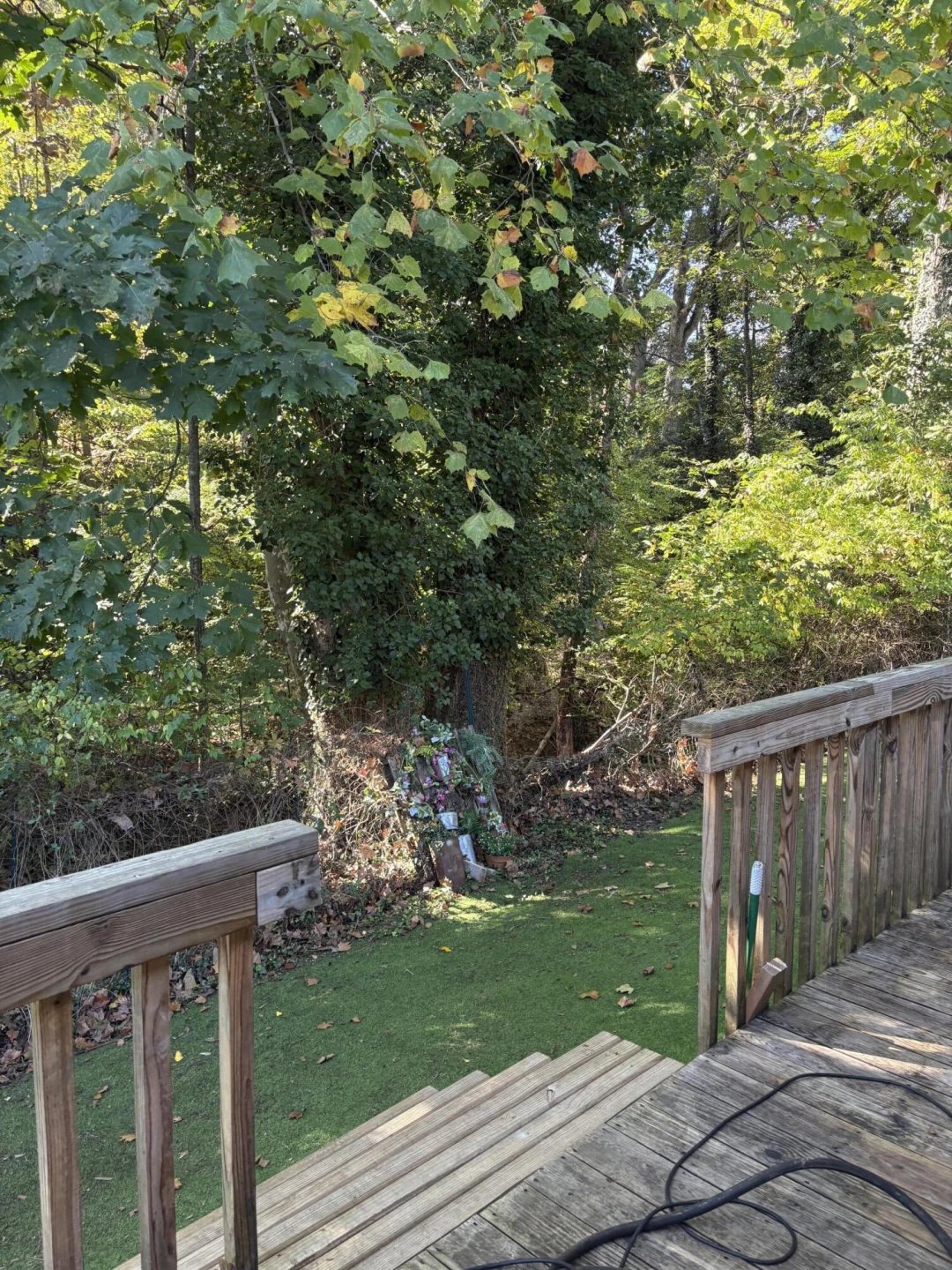 3444 clara AVE - Photo 35