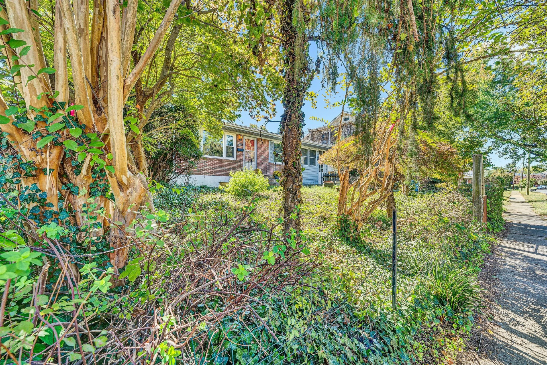 1602 Maiden LN - Photo 35