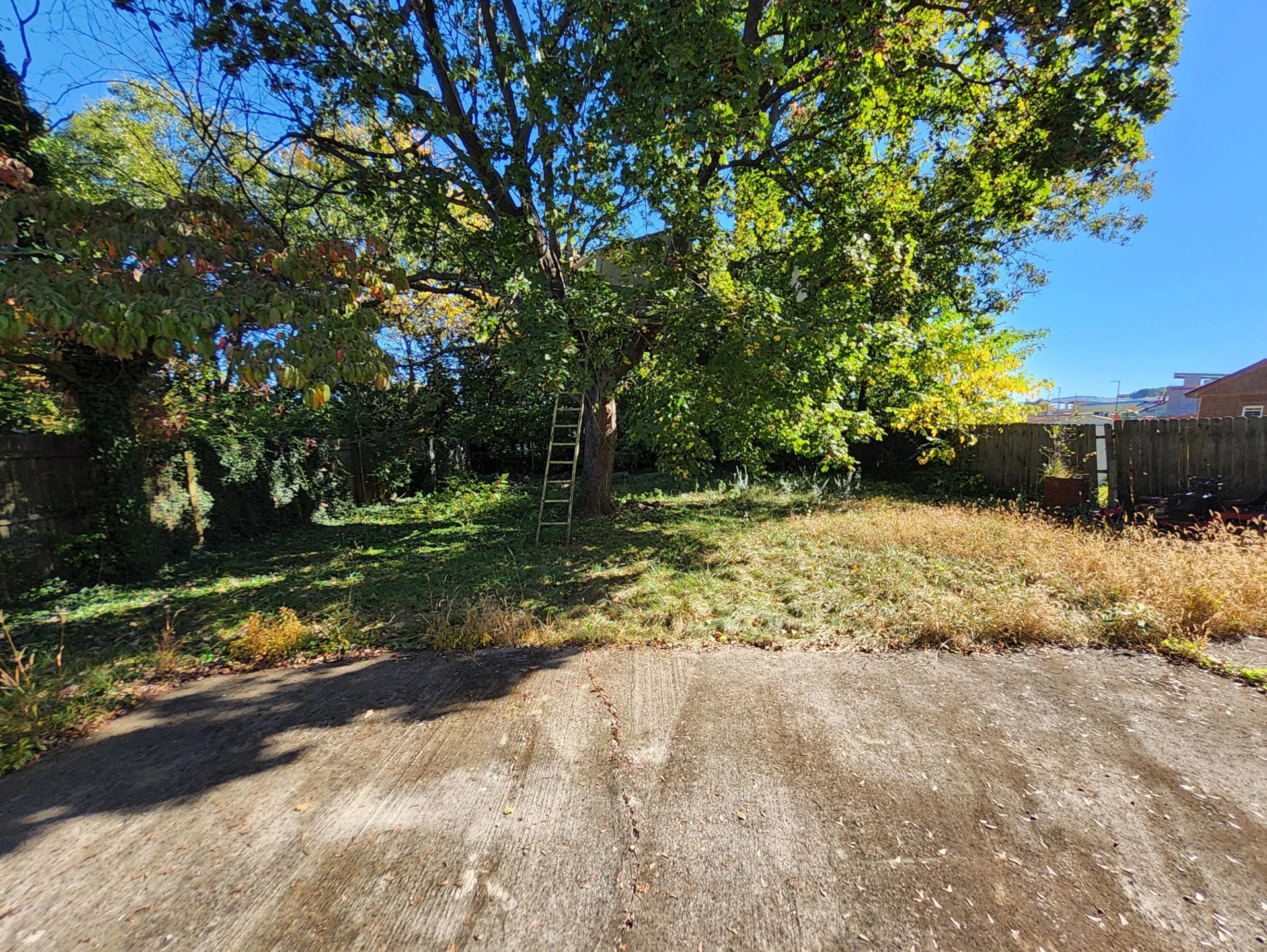 3219 Yardley DR - Photo 12