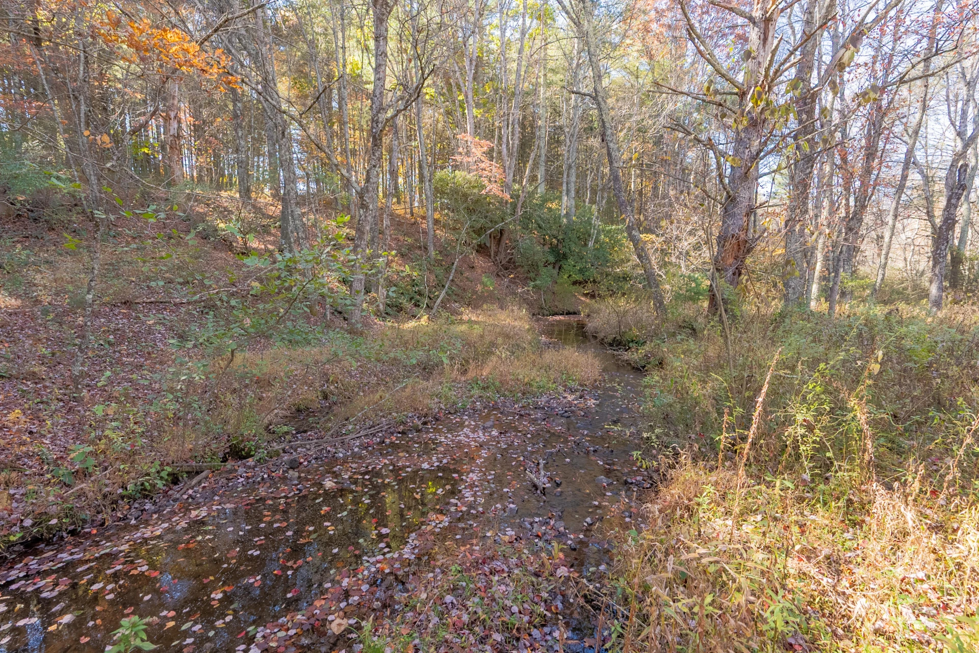 254 Dusty Mile RD - Photo 123